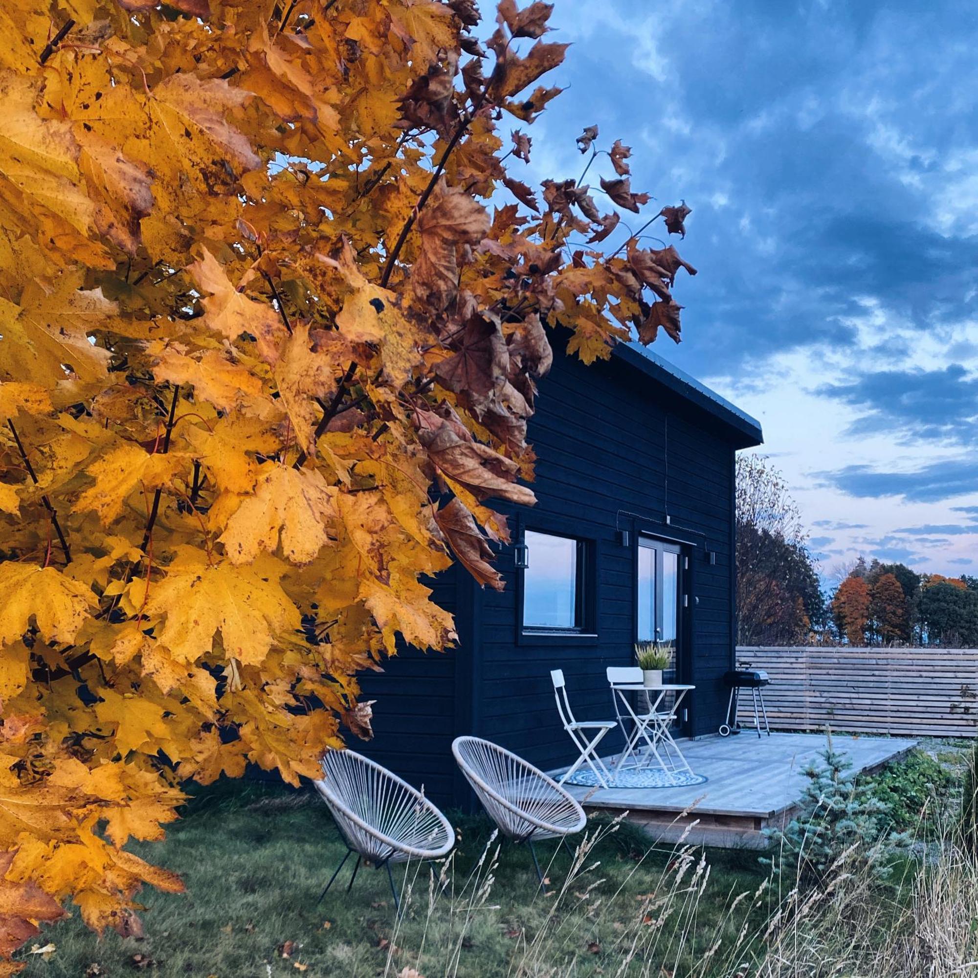 Field View Cabin Όρεμπρο Εξωτερικό φωτογραφία